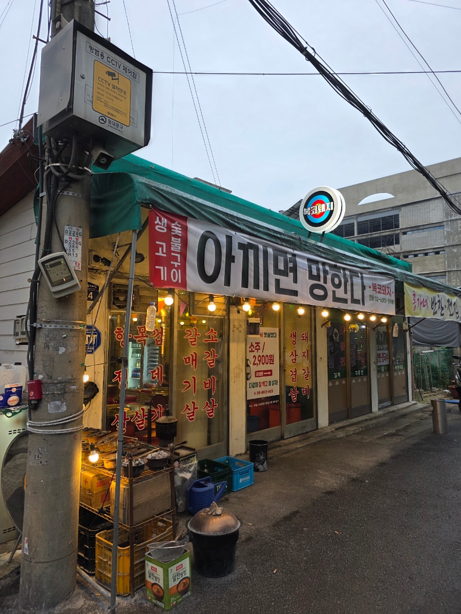 복코돼지 사진 1