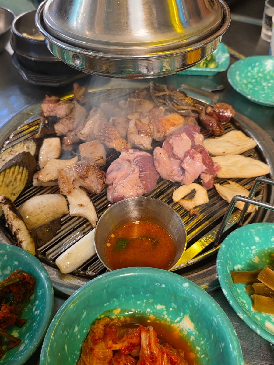 복코돼지 사진 5