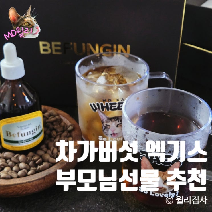  차가버섯차 야로슬라블코리아 부모님선물 추천