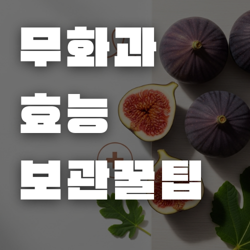  환절기 건강 간식 끝판왕! 해남 영암 GAP 인증 꿀맛 무화과, 내돈내산 솔직 후기 (효능, 보관 꿀팁)
