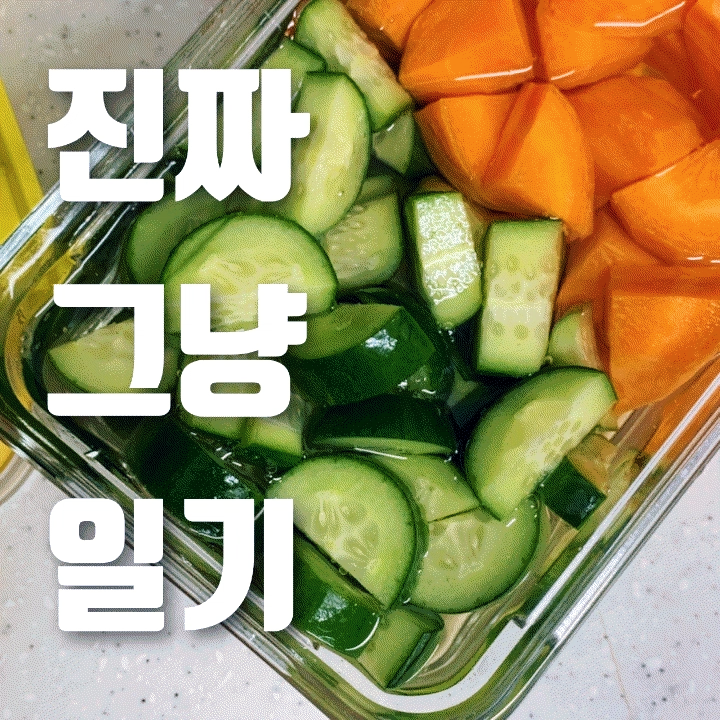  진짜 그냥 일기 | 밀린 일기 정리, 이것저것요고조고