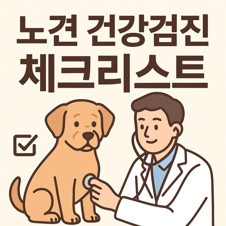  노견 건강검진 체크리스트, 반려견의 행복한 노후를 위한 필수 가이드