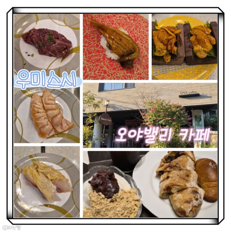  [ 서울 / 경기 ]수서역 근처 회전 초밥 맛집 ' 우미스시 ' 그리고 분위기 좋고 넓은 ' 오야밸리 ' 카페