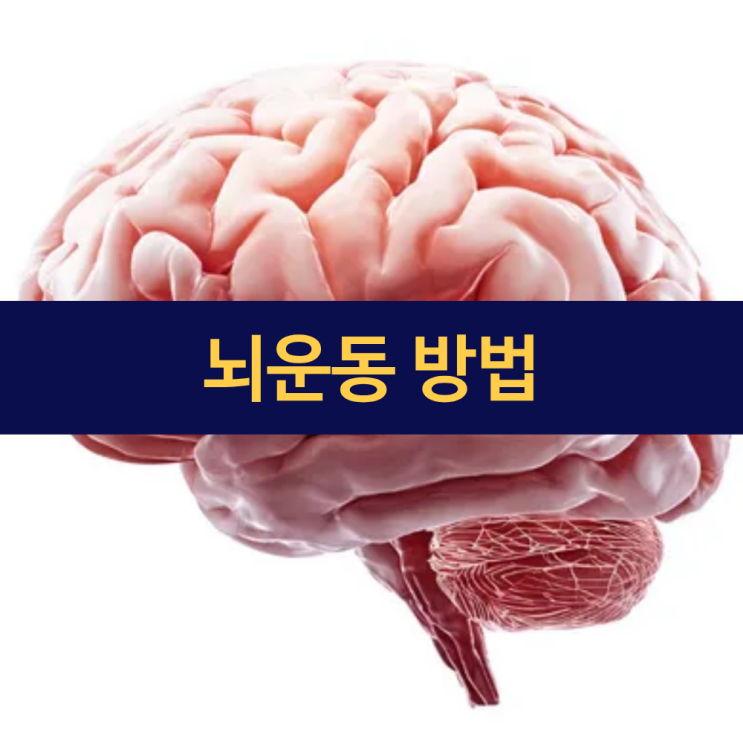  뇌운동하는 방법 | 뇌 활성화 운동법으로 인지력 높이기 | 뇌운동 방법