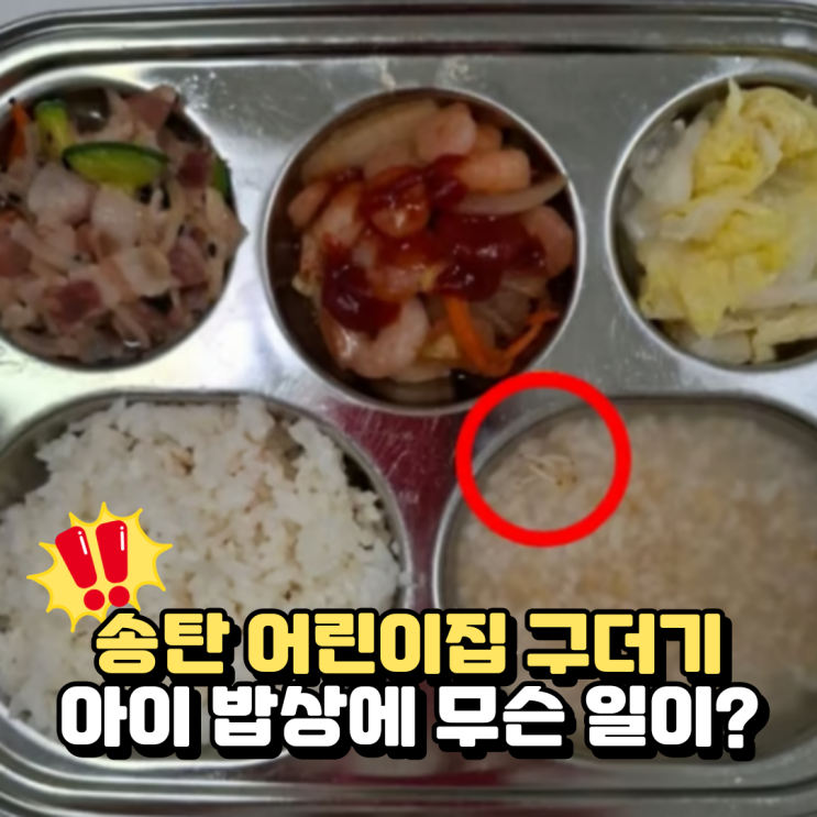  송탄 어린이집 구더기 사건, 믿고 맡겼는데 식판에 벌레라니
