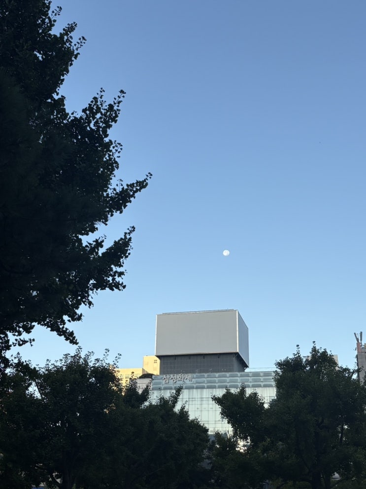  왓츠인마이일상 9월 둘째주엔 뭐했지? (니뽕내뽕, 파고라카페, 카소미야, 버터데이, 피제리아라쪼, 뉴텝, 사랑과자유, 수라간)