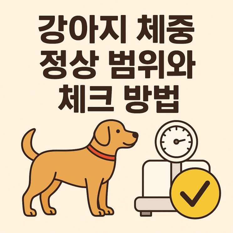  강아지 체중 정상 범위와 체크 방법