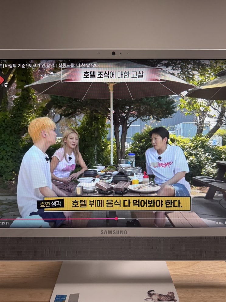 요즘 볼만한 예능 추천 - 살롱드돌 [왓츠인마이블로그]
