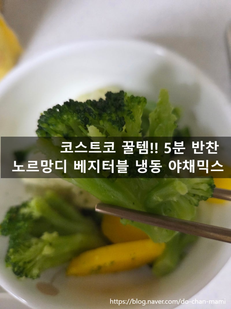 코스트코 냉동 야채믹스 2.49kg, 맛도 가격도 완벽! 솔직 리뷰