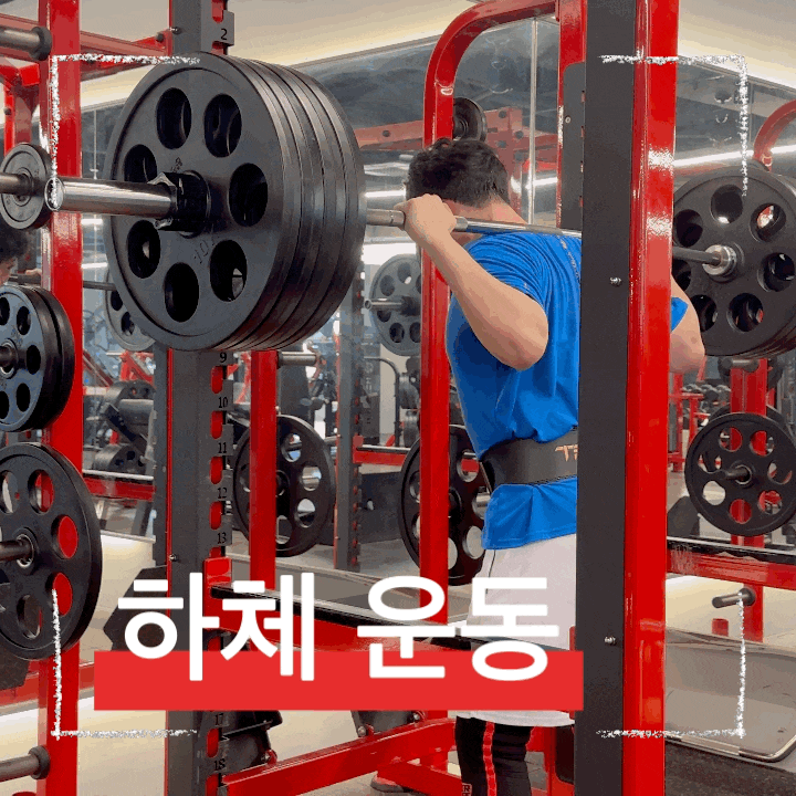  허리 부담 줄이는 하체운동 스쿼트 자세 교정법