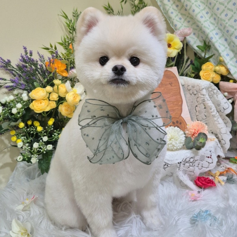 사진 4