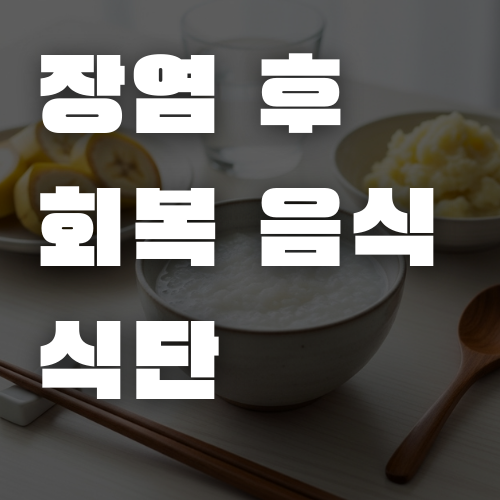  장염 후 속 편한 회복 음식 식단 & 뉴트리코어 유기농 프로바이오틱스 내돈내산 후기
