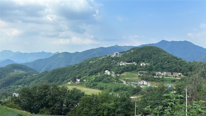 사진 4