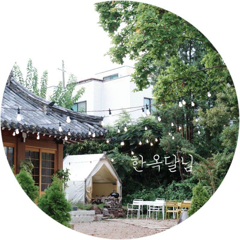 사진 3