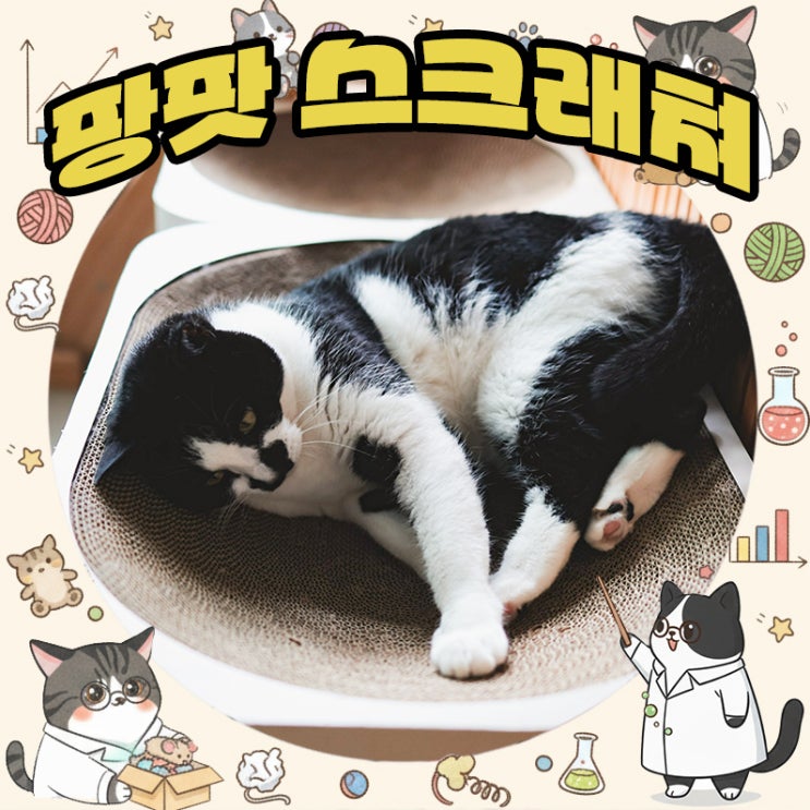  초대형 고양이 스크래쳐 하우스 내 팡팟돌리도~