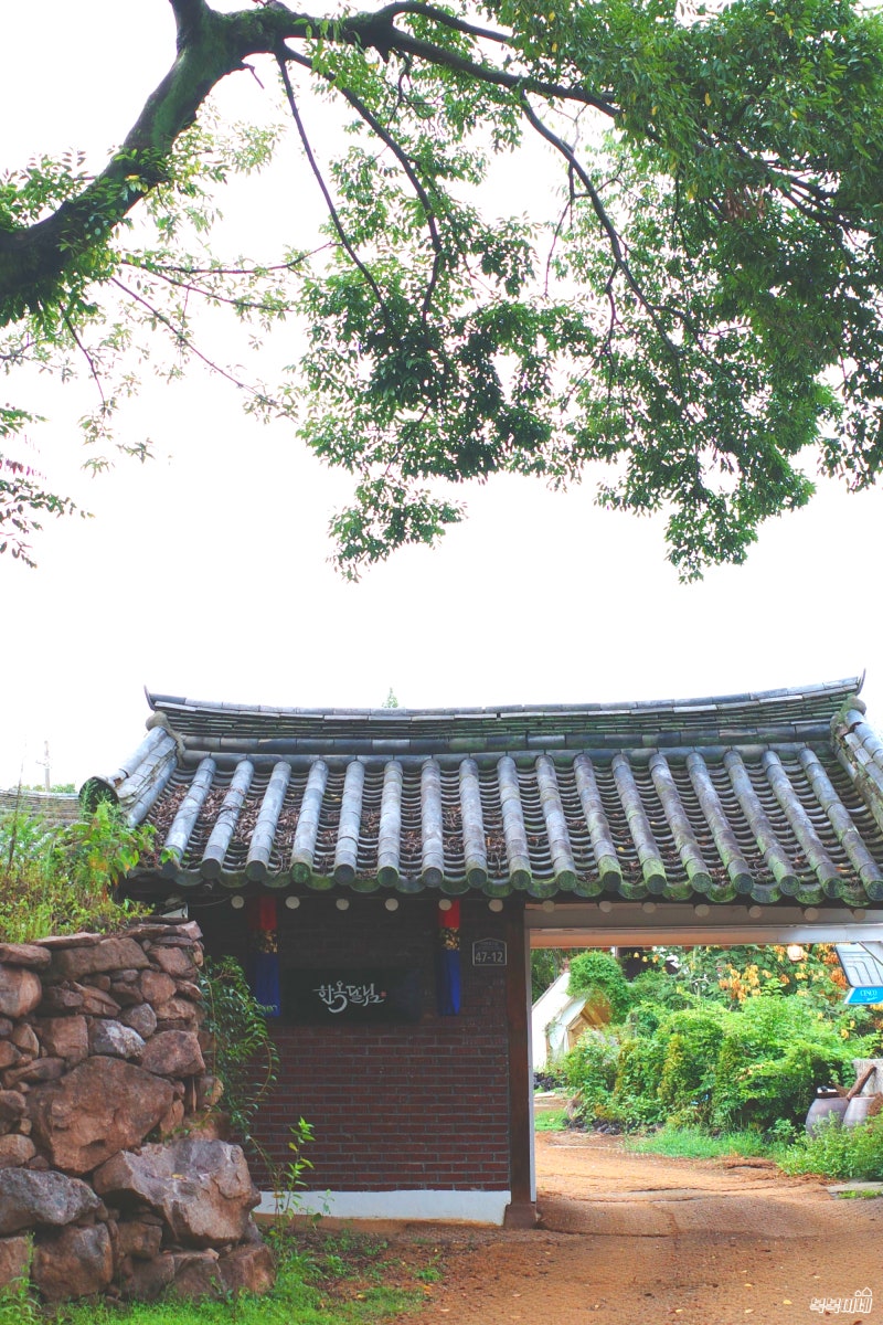 사진 4