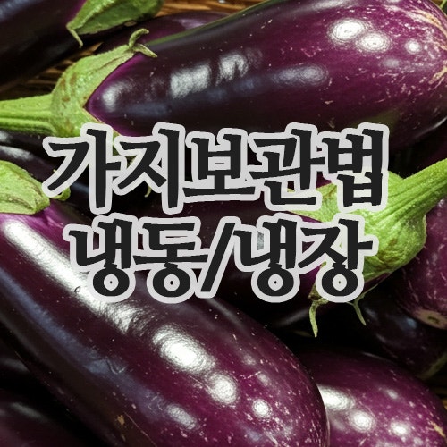  가지냉장보관법과 오래 보관하는 방법 총정리
