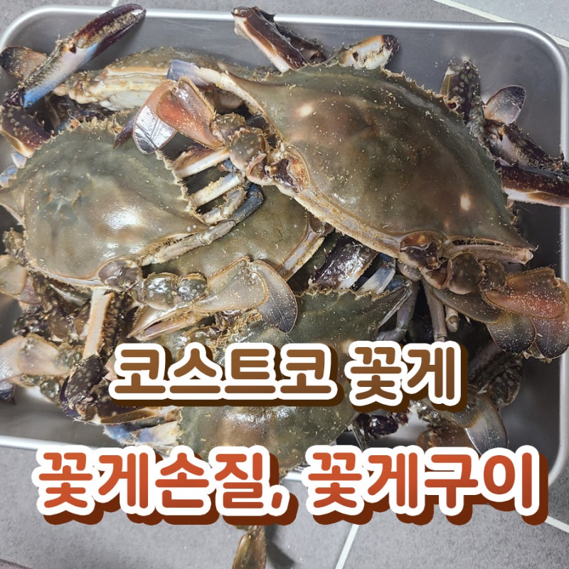 코스트코 꽃게 - 꽃게 손질법, 꽃게마요구이, 꽃게구이 에어프라이어