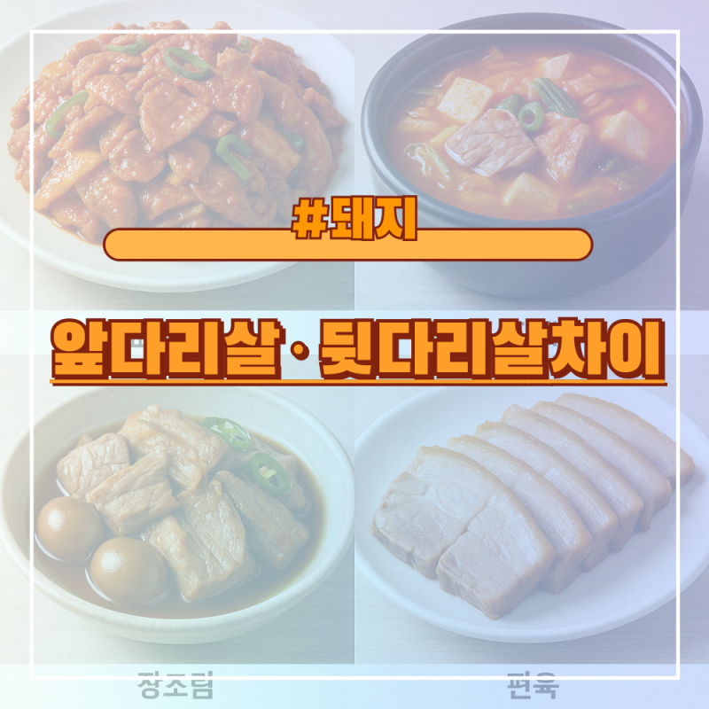 돼지 앞다리살·뒷다리살 차이, 맛·식감·활용법까지 완벽 비교