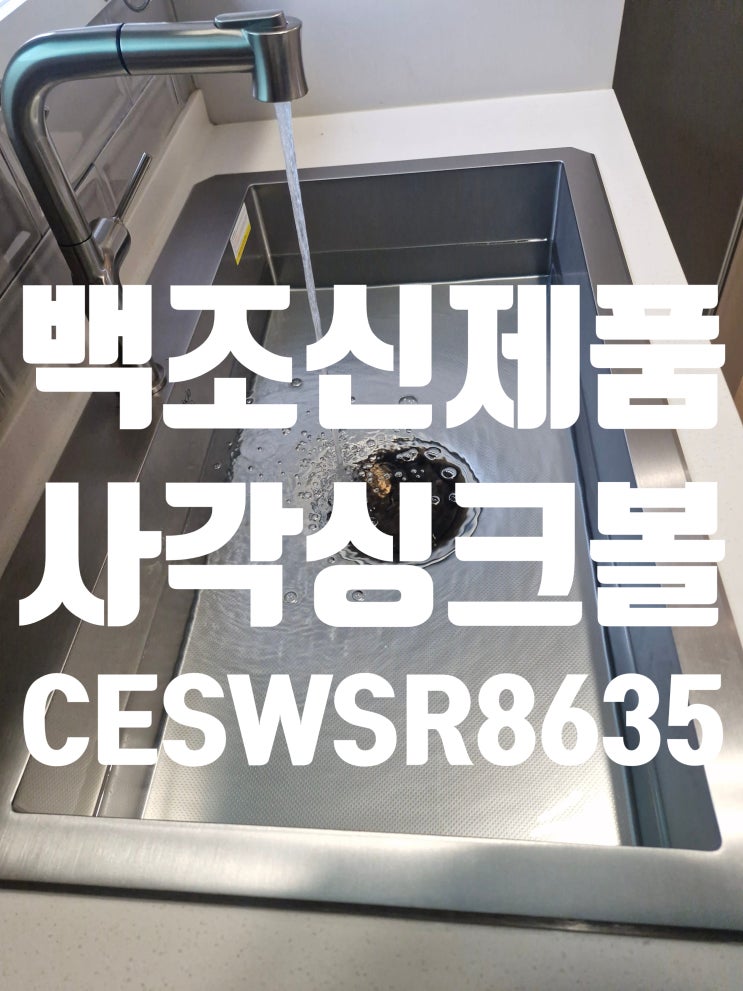 백조CESWSR8635 싱크볼교체 비반트 S-VA110 피레이워터<주방수전용필터 설치>