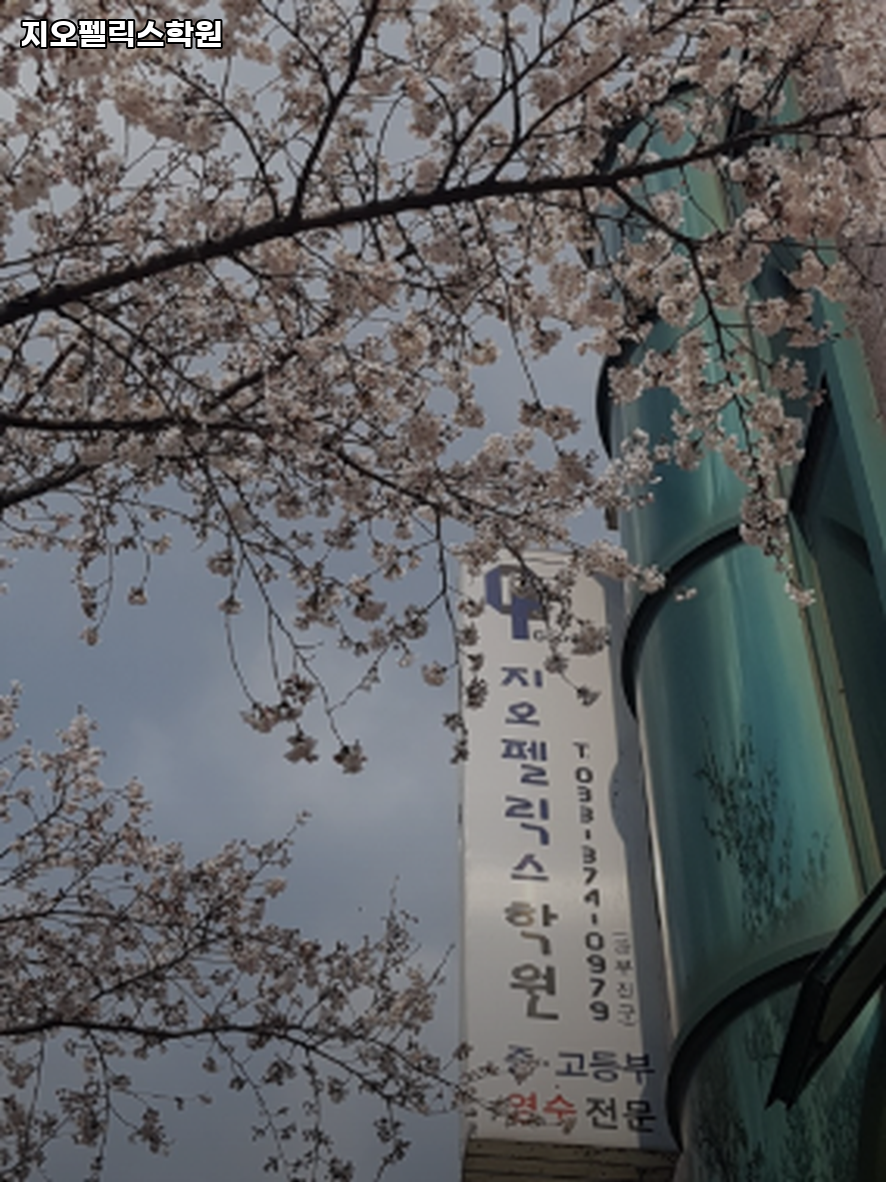 지오펠릭스학원 사진 3