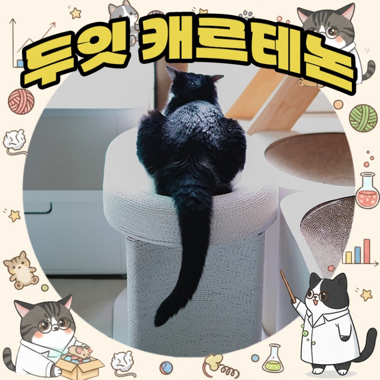  네이버 펫 바우처로 만나는 고양이 쉼터 두잇 캐르테논