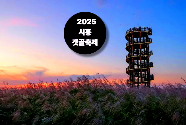  시흥갯골축제 공연 일정 총정리, “3일간 펼쳐지는 별빛 무대”