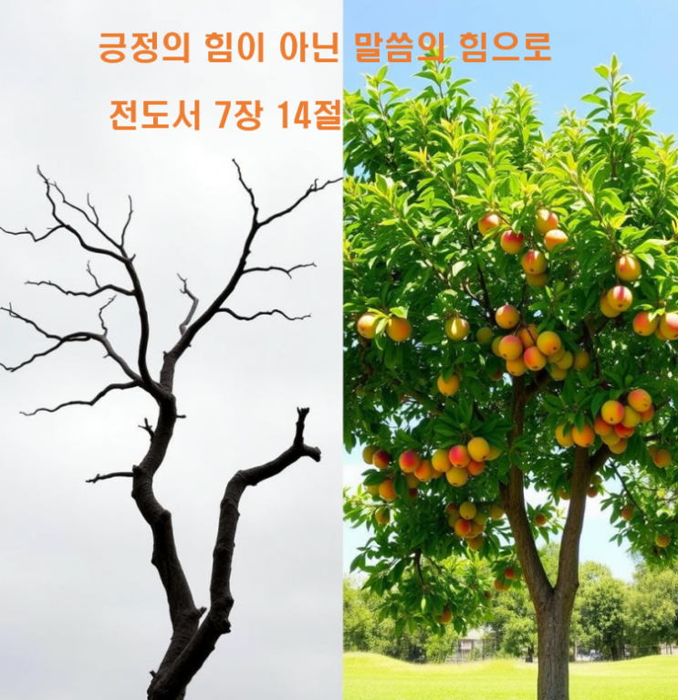  긍정의 힘이 아닌 말씀의 힘으로 전도서 7장 14절