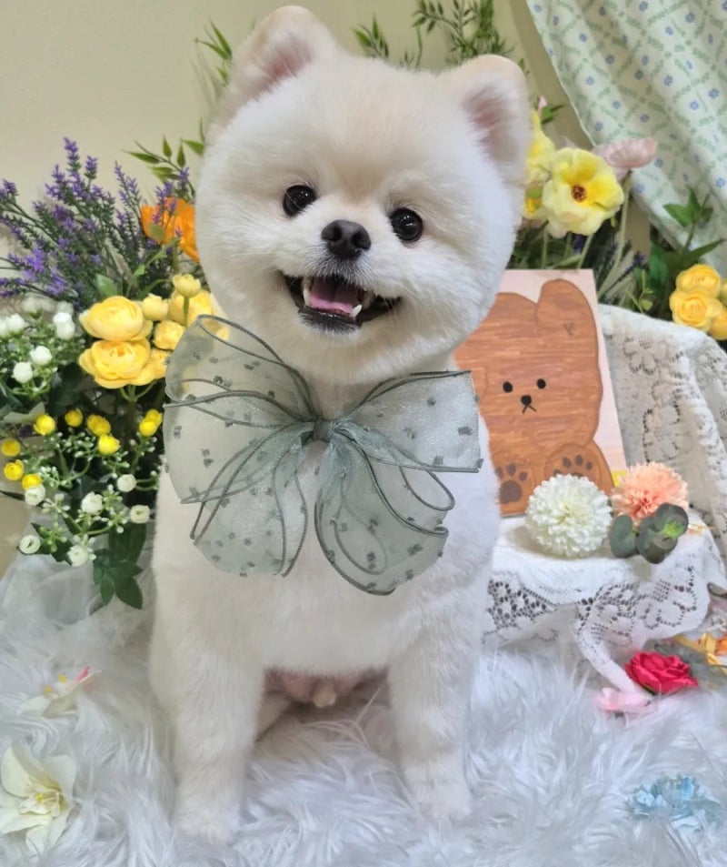 사진 5