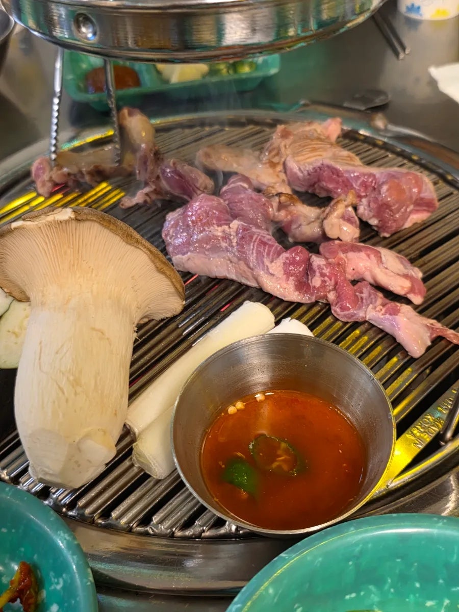 복코돼지 사진 6