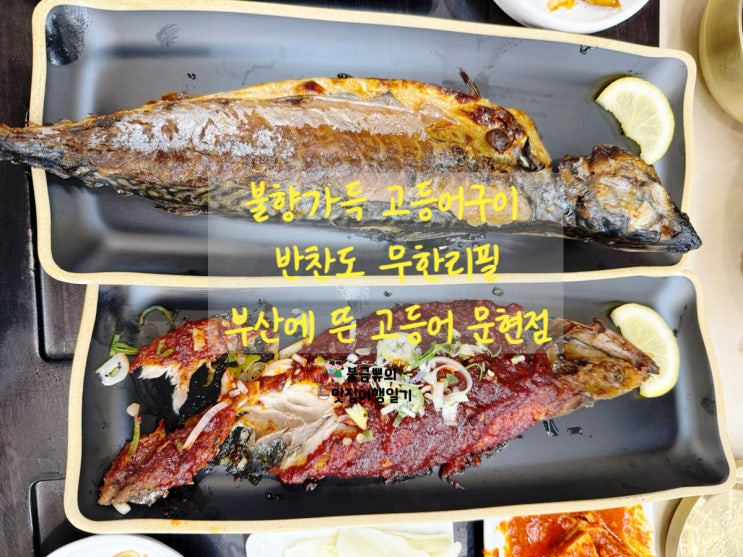  [문현 밥집 추천]부산에뜬고등어 문현점 가오픈부터 만석!