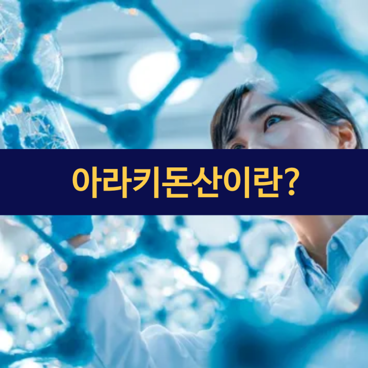  아라키돈산 | 우리 몸의 염증 반응을 조절하는 필수 지방산의 두 얼굴
