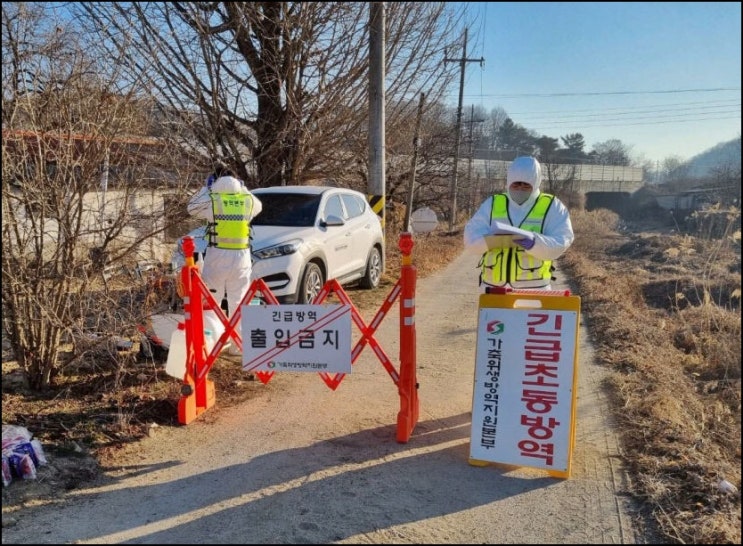 예년보다 빠르다 경기 파주서 올 시즌 첫 <b>고병원성 AI 발생</b>... 