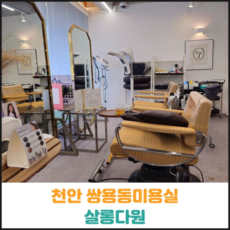  천안 쌍용동미용실 맛집 살롱다원 후기