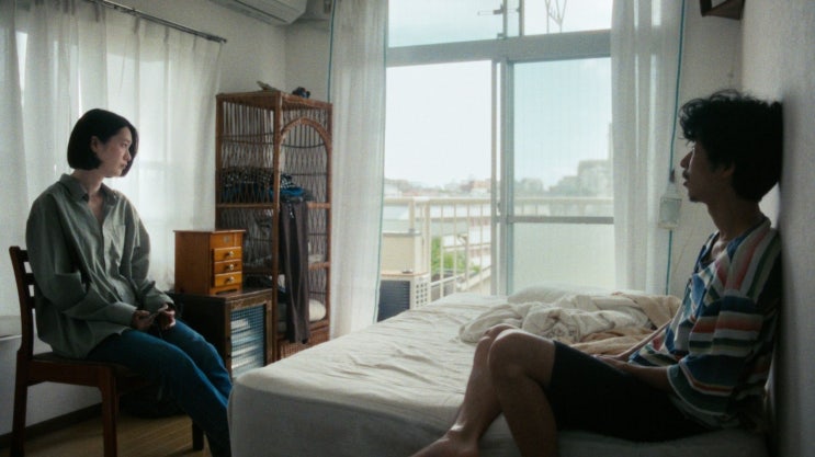  [BIFF 2025 경쟁] 고양이를 놓아줘 — 기억과 감정의 교차점에서