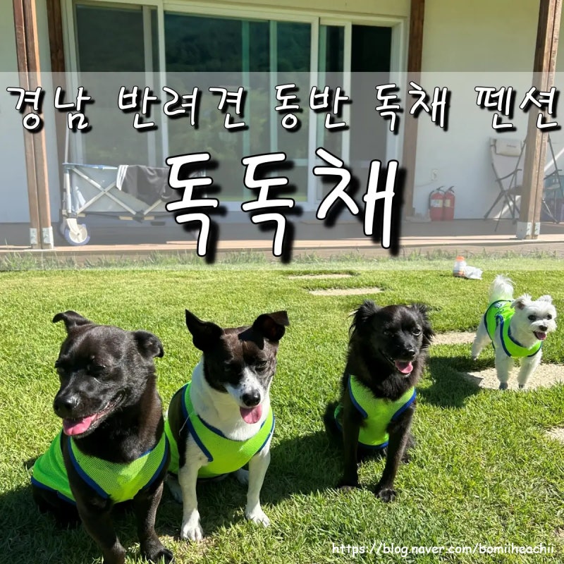 사진 14