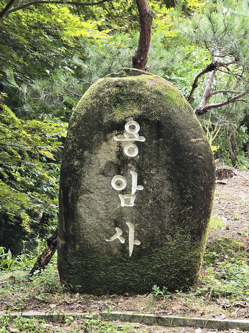 운암산 사진 1