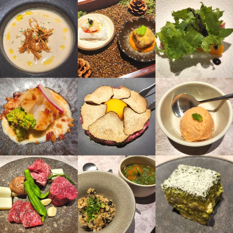  서울 한우 오마카세 압구정로데오역 맛집 청담 비폴릭 디너
