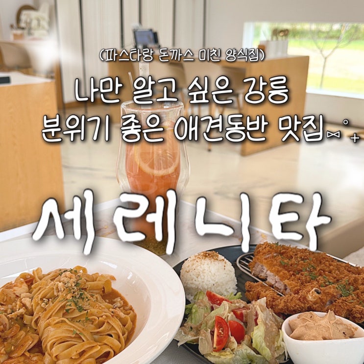  강릉 양식 맛집 애견동반 가능 분위기도 좋은 ‘세레니타’