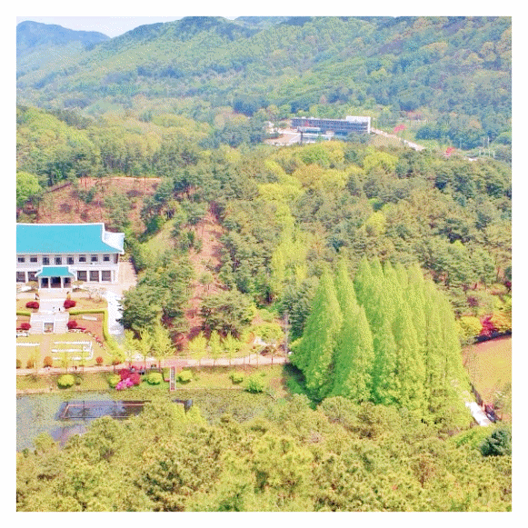  여수 가족여행 숙소 선택 기준과 주변 맛집 정보