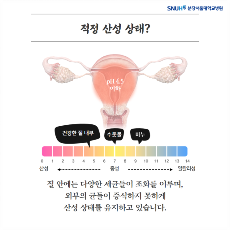  최근에 밝혀진 노산의 과학적 영향