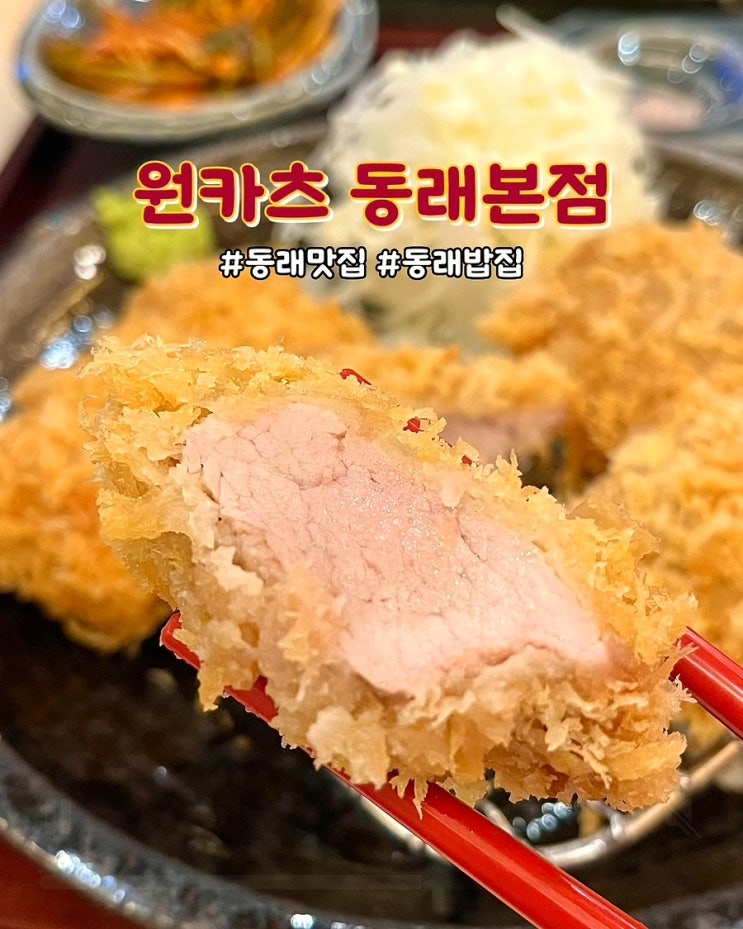  부산 동래 돈까스맛집 원카츠 동래본점 안심 등심 치즈 모듬 카츠 후기