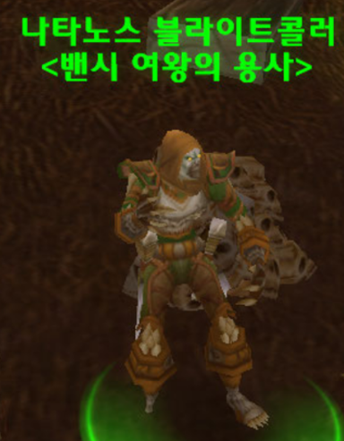  61. 동부 역병지대 - 얼라이언스와 호드의 순찰대장