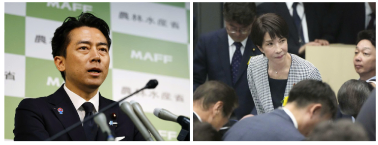 <b>자민당 총재 선거</b>, 고이즈미 vs 다카이치 양강 구도 되나?