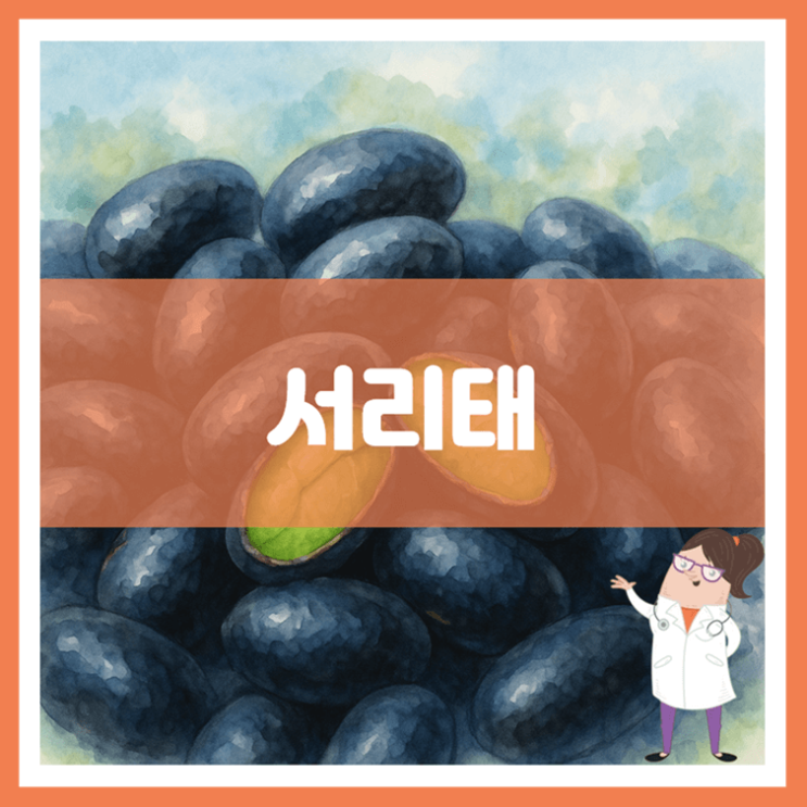 서리태 효능 영양성분 부작용