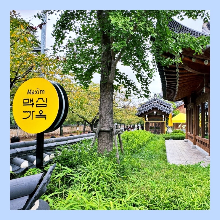  [경주] 요즘 경주에서 가장 핫한 '맥심가옥 팝업스토어'