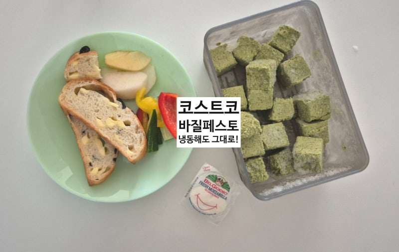 코스트코 바질페스토 소분&냉동 후기! 4개월 거뜬한 찐 후기