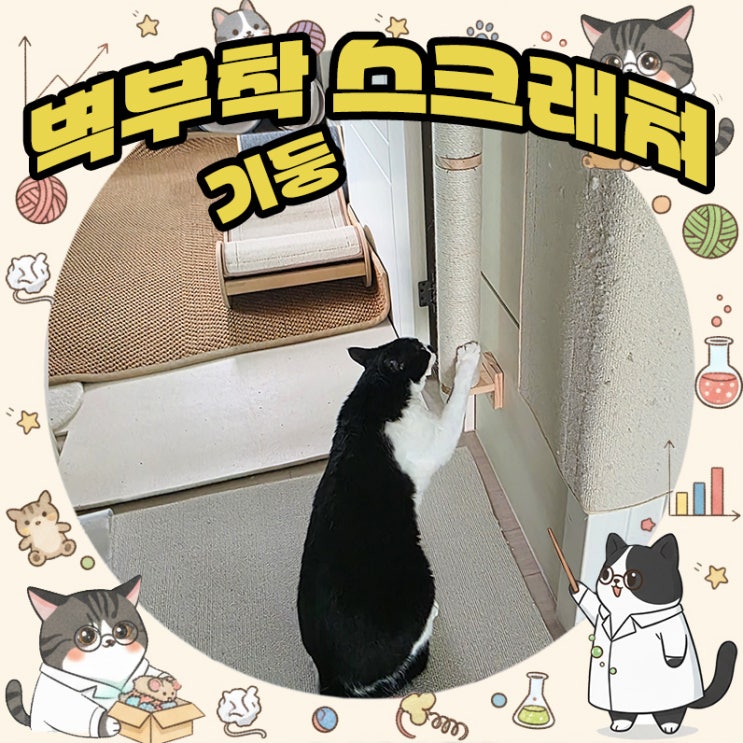  집사필수템 고양이 기둥스크래쳐 고정형으로 떨어질걱정없이 안전하게