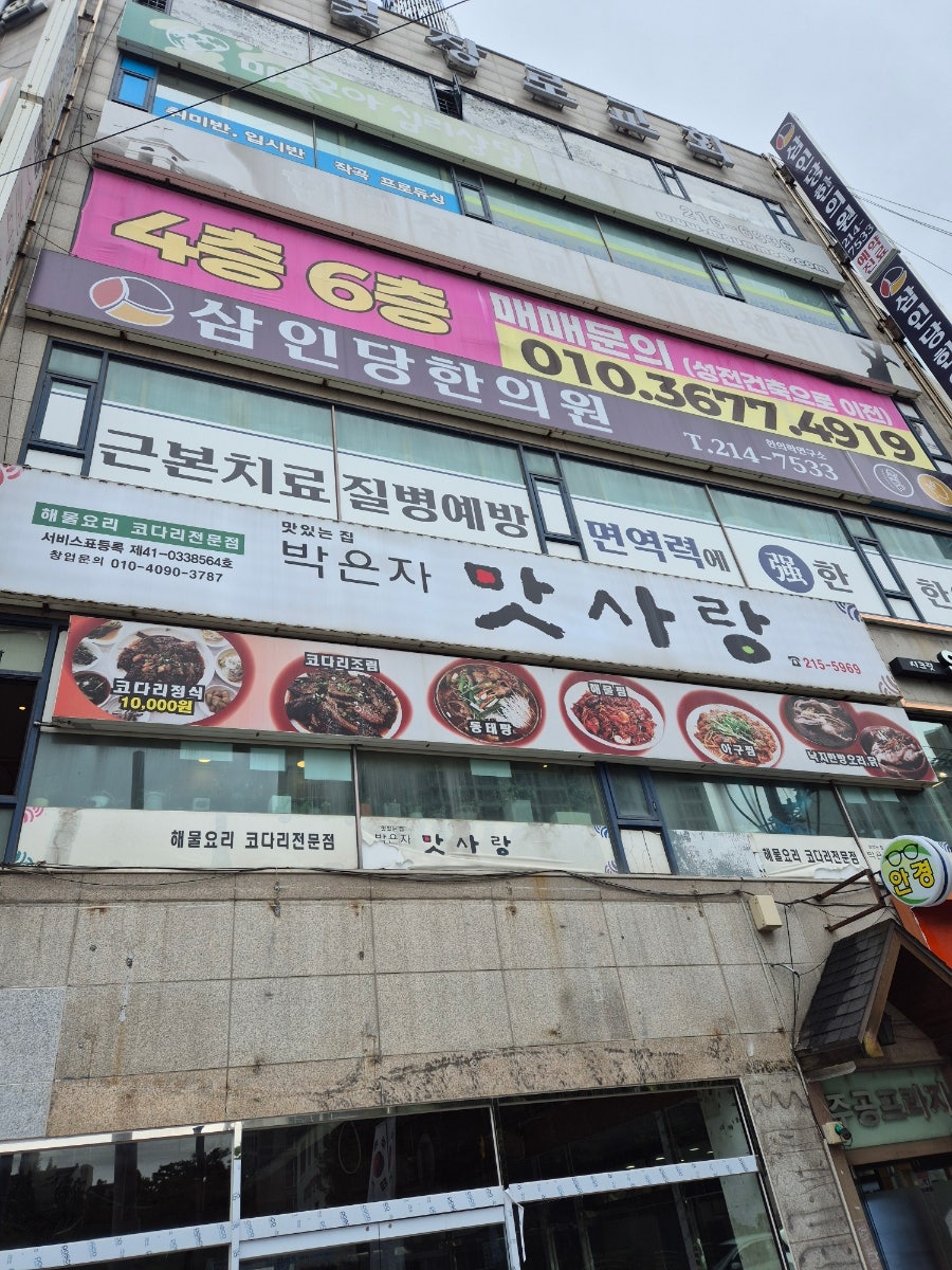 박은자맛사랑 수원영통매탄점 사진 6