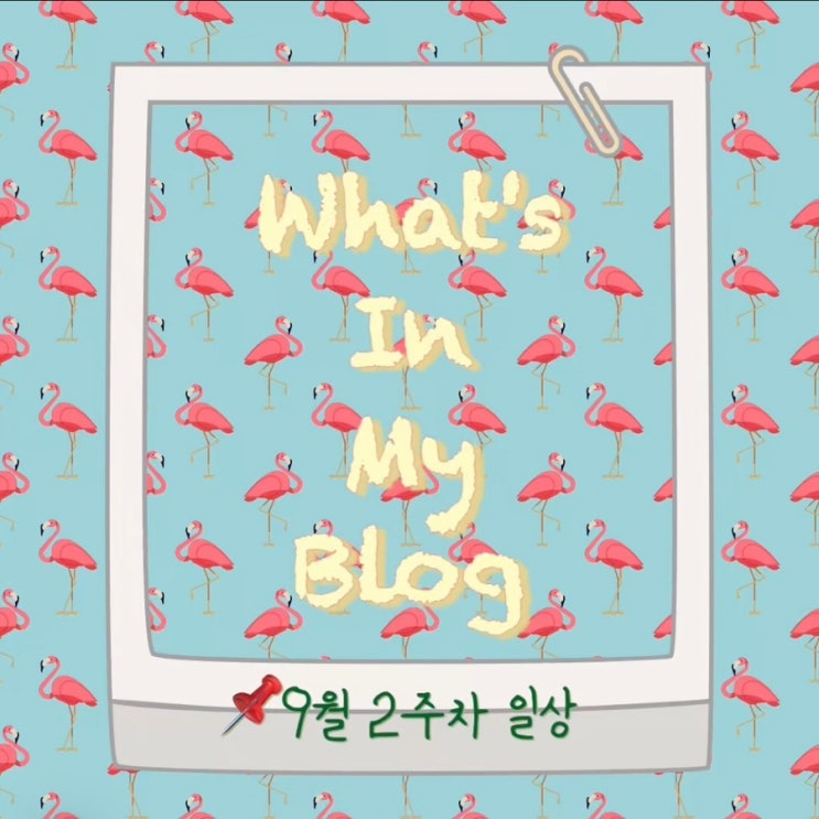  9월 2주 차 일상 정리 왓츠인마이블로그 블챌
